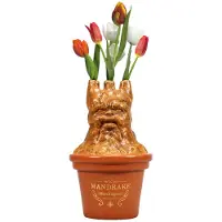 Half Moon Bay Harry Potter: Tabletop Vase - Mandrake