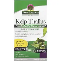 Natures Answer - Kelp (blaaswier) Thallus - 100 vegetarische capsules