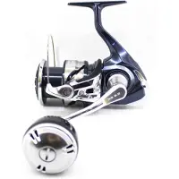 Shimano Twin Power Sw Xg Spinning Reel Blauw,Grijs 4000C