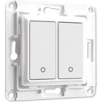Shelly Wall Switch 2 | Wit