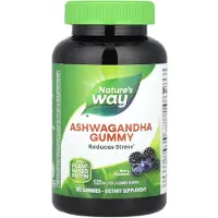 Nature'S Way – Ashwagandha Gummies, Berry (90 stuks)