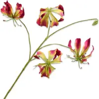 Silkka Gloriosasteel l89 cm beauty Silk-Ka