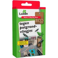 Luxan Aaltjes tegen rouwvliegjes | (Biologisch, Voor max. 8 potten)