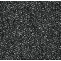 Forbo Coral Classic Deurmat 155 x 90 cm Antracite 4701