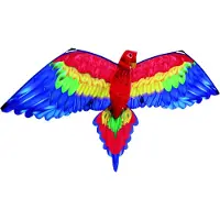 Günther Cora 3D monofil vlieger - - Maat XXL - Handvat, draad en stabilisatietail