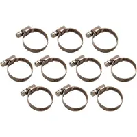 Bgs Slangklem roestvrij 30 x 45 mm 10 delig