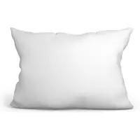 Amazinggirl Kussen 40x60 cm met Vulling – Binnenkussen voor Sierkussens en Decoratie – Hoofdkussen Slaapkussen OEKO-TEX Gecertificeerd Wasbaar op 60 Graden Zacht Ademend Vormvast Wit 40 x 40 cm