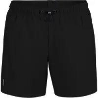 Arena Zwemshorts 'EVO' zwart