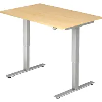 Hjh OFFICE PRO XMST 12 S - Esdoorn 120x80 Tafelhoogte I Elektrisch in hoogte verstelbaar