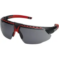 Honeywell AVATAR 1034837 Veiligheidsbril Zwart, Rood