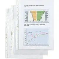 Hetzel Top Quality Showtassen A4 Glashelder Transparant 110 micron PP (Polypropeen) Boven 11 Gaten 10 Stuks