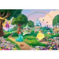 Komar Fotobehang Disney Prinsessen Regenboog - Meerkleurig - 2,54m X 368cm