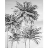 Overig Coco Fotobehang - Grijs - 2,50m X 200cm