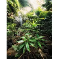 Komar Vliesbehang Digitale print vlies - Spirit - Afmeting 200 x 260 cm (1 stuk)