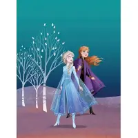 Komar Poster Frozen Zussen 30 X 40 Cm