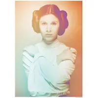 Komar Poster Star Wars Classic Icons Kleur Leia 30 X 40 Cm