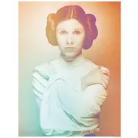 Komar Poster Star Wars Classic Icons Kleur Leia 40 X 50 Cm