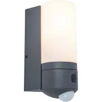 Lutec Zonnepaneel wandlamp met LED, 19W, met camera, model POLLUX 5196004118, merk