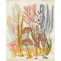 Komar Fotobehang Catchy Corals - Meerkleurig - 2,50m X 200cm