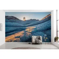 Komar Fotobehang Elephant Skin - Blauw - 2,50m X 400cm