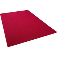 Snapstyle Vloerkleed Fijn lus velours tapijt Sterk
