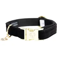 Kentucky Dogwear - Hondenhalsband Corduroy - Zwart - Maat S - 28-40cm - Hondenriem
