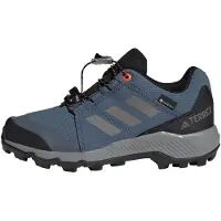 Adidas Lage schoen 'GORE-TEX Hiking' marine / stone grey / zwart