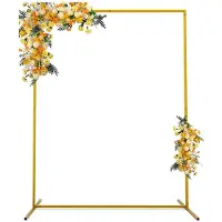 PartyPro Backdrop Goud - 1.5x2m (rechthoek)