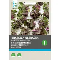 Intratuin Groentezaad Boerenkoolspruitjes Mix (Kalettes)