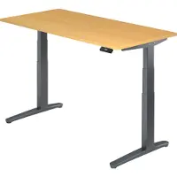 Hjh OFFICE PRO XBHM 16 GG - Beuken 160 x 80 Tafelhoogte I Elektrisch in hoogte verstelbaar