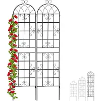 Relaxdays klimplantenrek - 2 stuks - metaal - plantensteun - plantenrek - klimplantensteun 220 cm