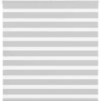 vidaXL Zebra rolgordijn 140x100 cm stofbreedte 135,9 cm lichtgrijs