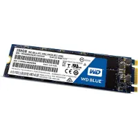 Western Digital WD Blue 250 GB M.2 2280 WDS250G1B0B