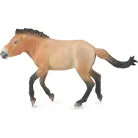 Collecta Figur Ogier Przewalski (88602)