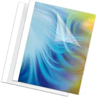 Fellowes bindruggen 10 mm zwart, 100 stuks