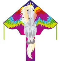 Ecoline Eenlijns Vlieger Simple Flyer Pegasus Spanwijdte 1200 mm Geschikt voor windsterkte 2 - 5 bft