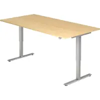 Hjh OFFICE PRO XMST 2E S - Esdoorn 200 x 100 Tafelhoogte I Elektrisch in hoogte verstelbaar