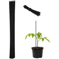 Relaxdays bamboe stokken - set van 50 - 60 cm - zzwart