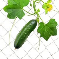 Relaxdays klimnet - jute - 2x3 m - tuin - voor kweekkas - biologisch afbreekbaar - natuur