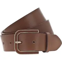 Vanzetti Riem bruin