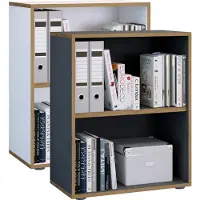 VCM Houten Büro Standplank boekenkast Dossierplank Boekenkastplank Salia 2-voudig B. 60 cm Houten Büro Standplank boekenkast Dossierplank Boekenkastplank Salia 2-voudig B. 60 cm