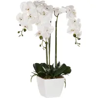 Beliani ORCHID - Kunstplant - Wit/Groen - 59 cm - Synthetisch