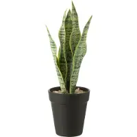 J-Line Dracaena trifasciata in pot kunstmatig groen small