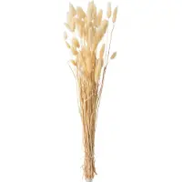 J-Line Bundel pluim hazenstaart gedroogd beige