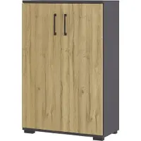 Germania GW-Profi 2.0 archiefkast 4247-564 Bruin, donkergrijs Eiken 800 x 400 x 1.230 mm