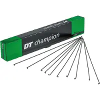 Dt Swiss Champion M Spaken 100 Eenheden