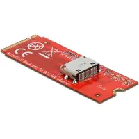 DeLOCK M.2 Key M to 1 x OCuLink SFF-8612 Converter