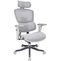 Sedero Ergonomische bureaustoel B10-Ergo - Grijs - 4D armleuningen - Kantelbaar - 3D Hoofdsteun - ProjectPLUS