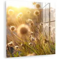 MuchoWow Glasschilderij 50x50 cm - Schilderij acrylglas - Planten - Natuur - Bloemen - Zon - Horizon - Foto op glas - Muurdecoratie woonkamer - Wanddecoratie slaapkamer - Schilderijen