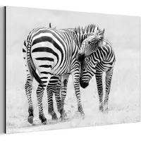 MuchoWow Aluminium schilderij 30x20 cm - Wanddecoratie metaal - Zebra - Dieren - Natuur - Safari - Metalen muurdecoratie woonkamer - Decoratie industrieel - Foto op dibond - Industriële accessoires slaapkamer
